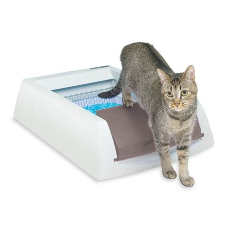 electric cat litter box walmart|disposable litter box Walmart.